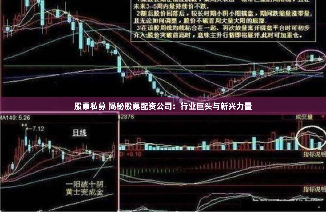 股票私募 揭秘股票配资公司：行业巨头与新兴力量