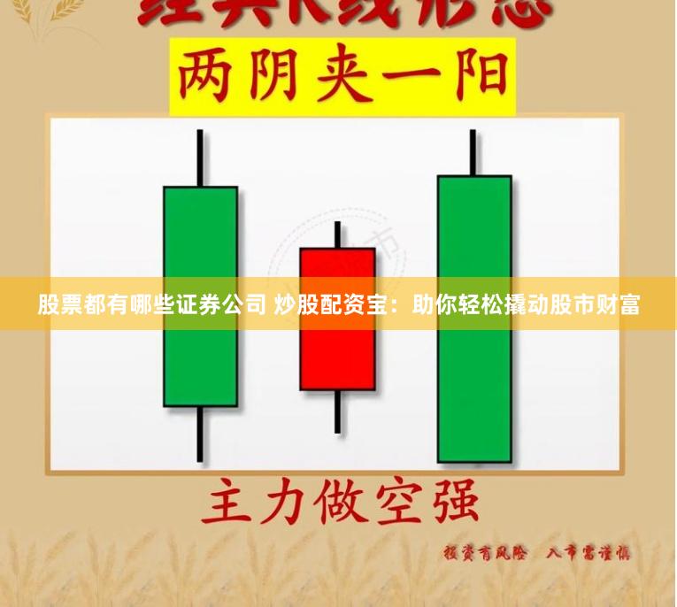 股票都有哪些证券公司 炒股配资宝：助你轻松撬动股市财富