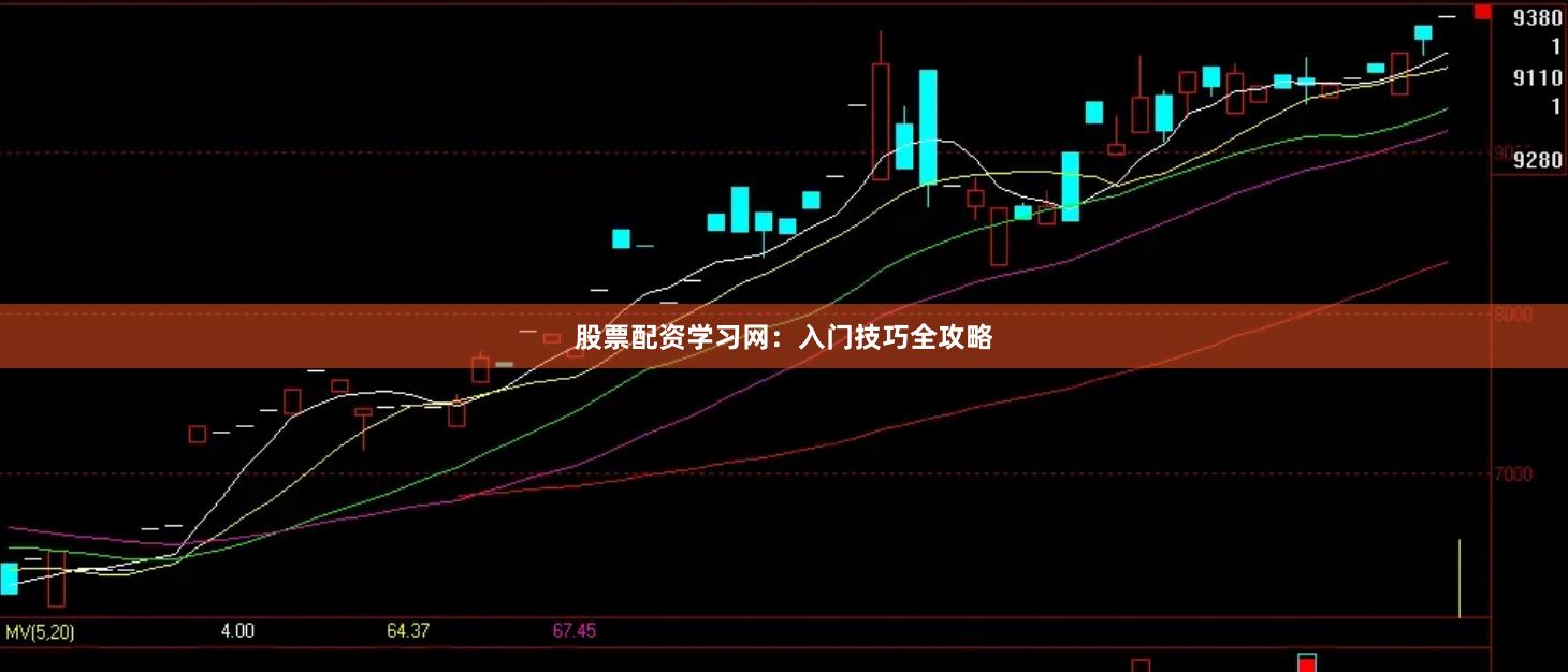 股票配资学习网：入门技巧全攻略